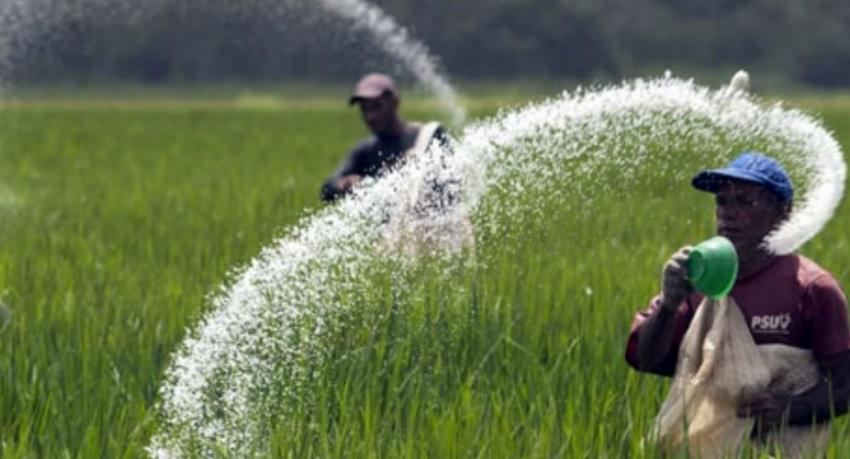 ගොවීන්ගේ පොහොර ගැටලු ගැන කියන්න අංක 2 ක්